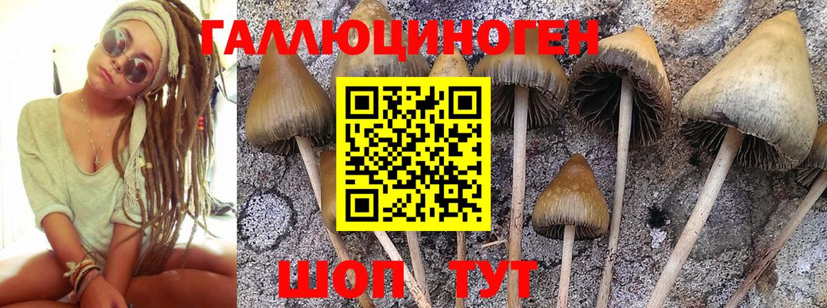 Новоалександровск  Галлюциногенные грибы прущие грибы  Вход с VPN  Галлюциногенные грибы мухоморы 
