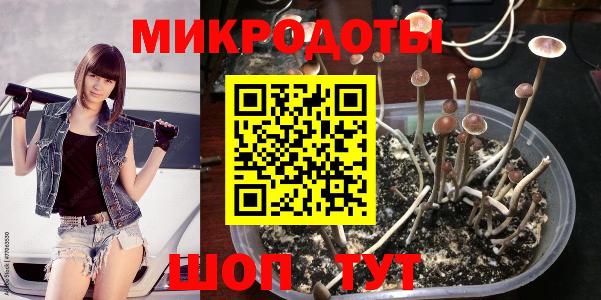 Галлюциногенные грибы MAGIC MUSHROOMS Новоалександровск